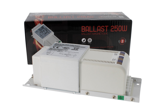 Ballast 250W Class 1 - FLORASTAR