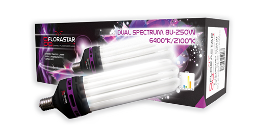 Dual spectrum CFL light 6400°K/2100°K
