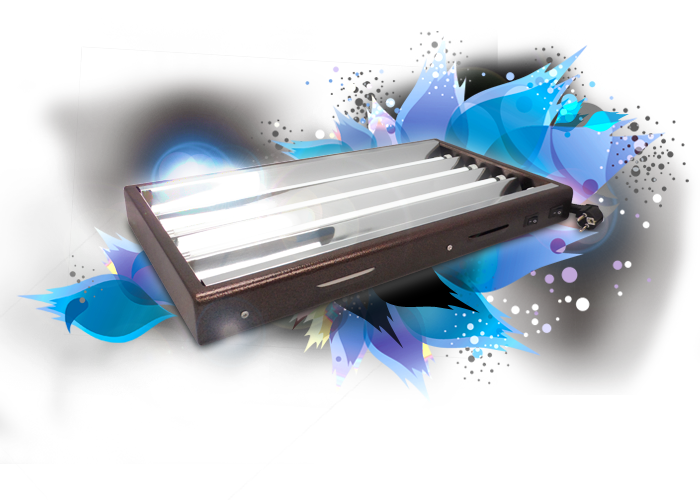 T5 propagator light 96W + four 6400°K tubes