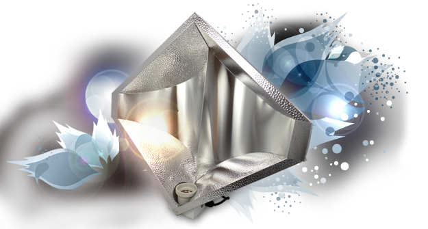 DIAMOND Reflector - FLORASTAR